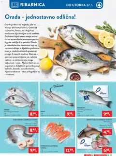 Katalog Spar - Pregled kataloga iz trgovine Spar, vrijedi od 21.01.2026 | Stranica: 13
