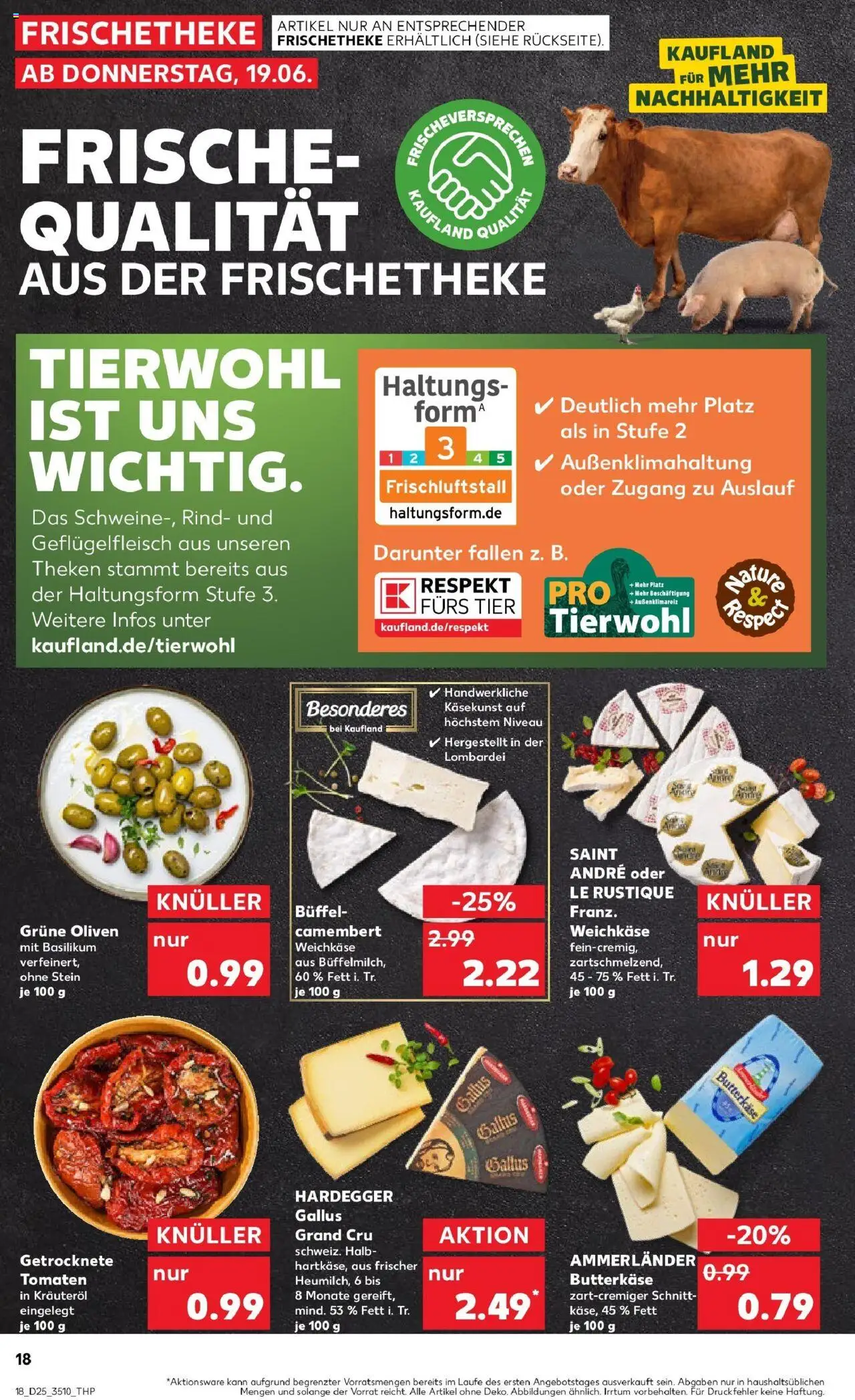 Kaufland prospekt Sömmerda	 - gültig ab dem 22.06.2025 | Seite: 31 | Produkte: Tomaten