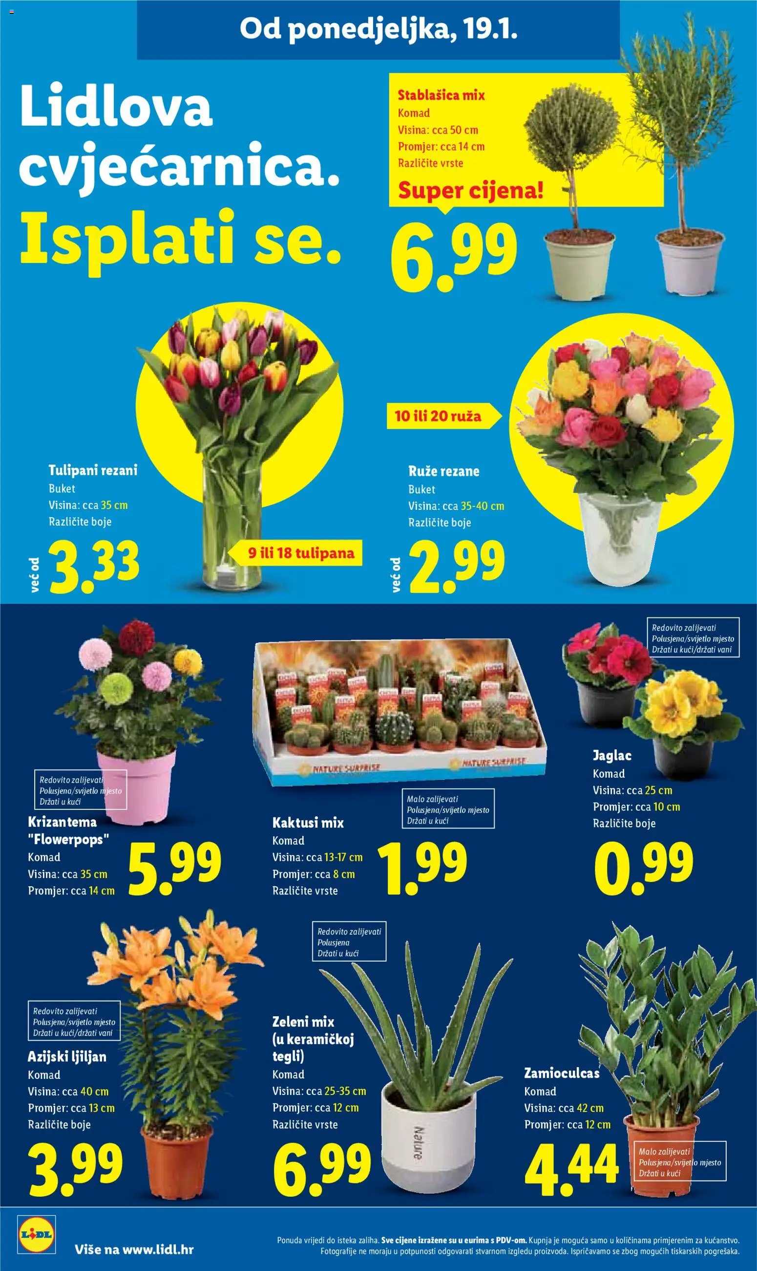 Lidl katalog | vrijedi od 19.01.2026 | Stranica: 48