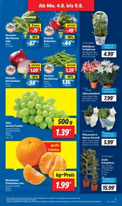 Lidl Prospekt München - gültig ab dem 04.08.2025 | Seite: 3