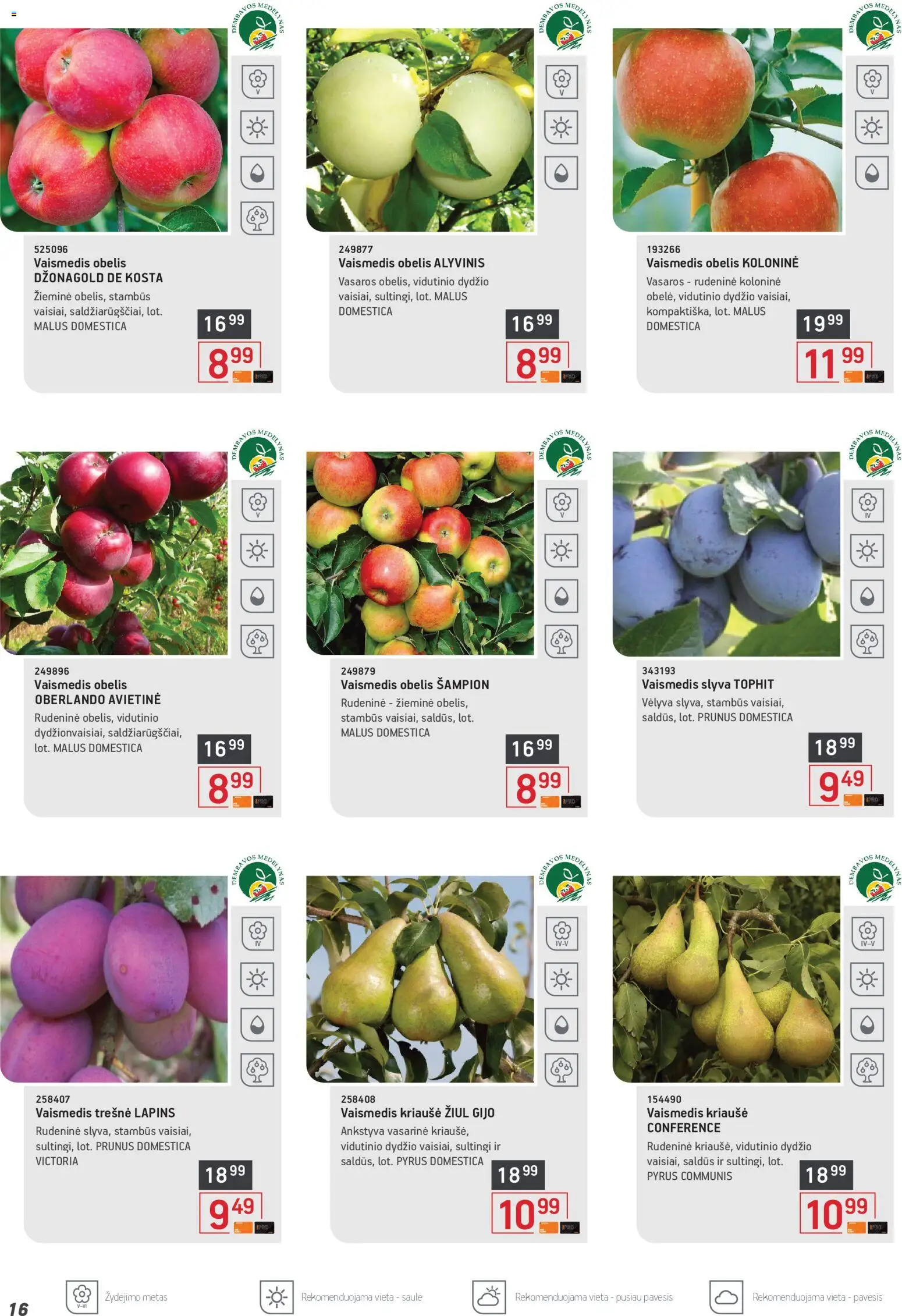 ERMITAŽAS akcijos nuo 04.05.2026 | Puslapis: 16