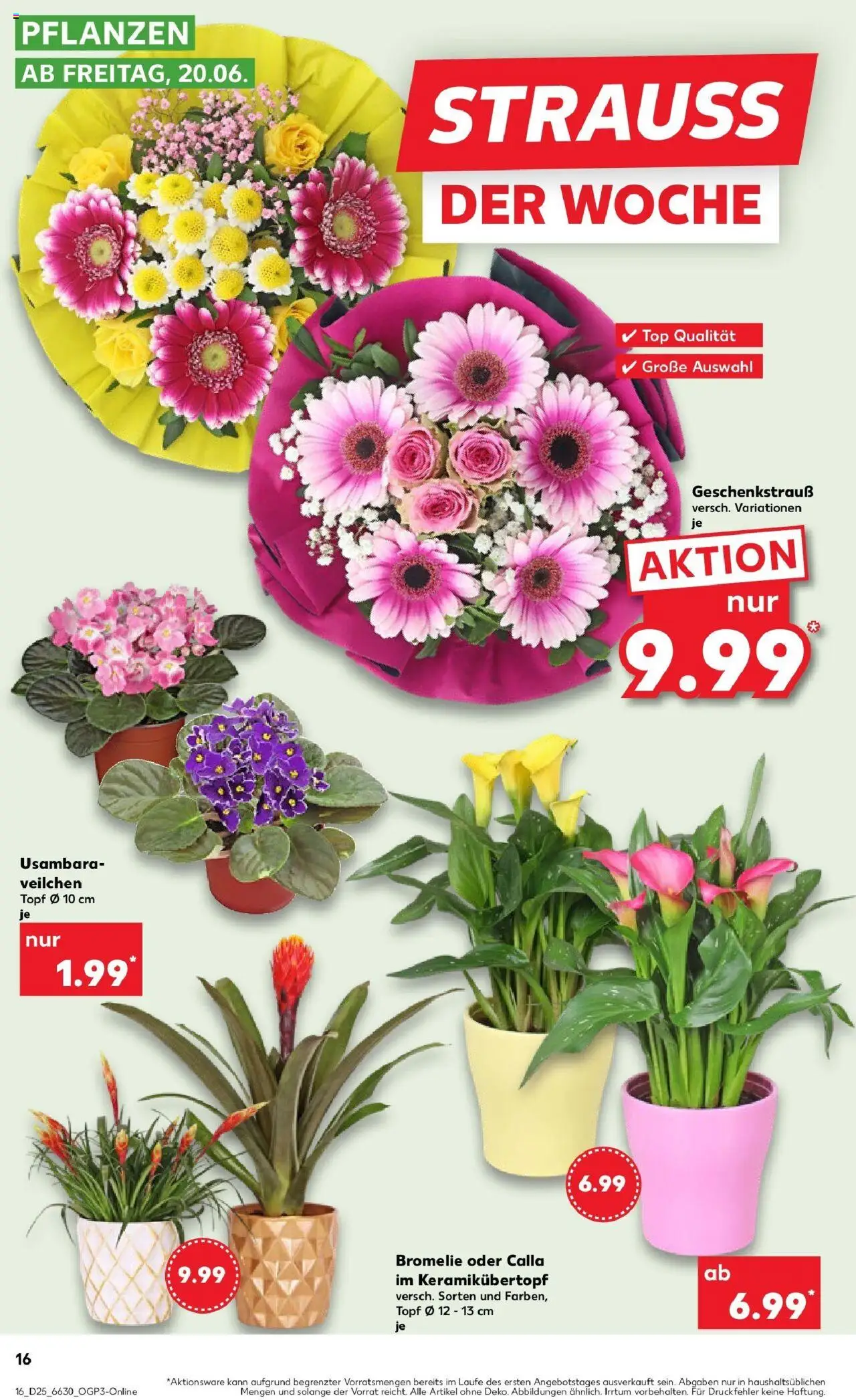 Kaufland prospekt Korbach	 - gültig ab dem 22.06.2025 | Seite: 29 | Produkte: Top