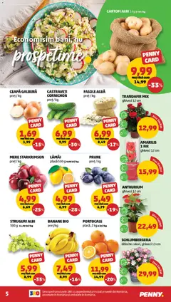Ofertele PENNY valabile de la 05.11.2025 | Pagină: 5