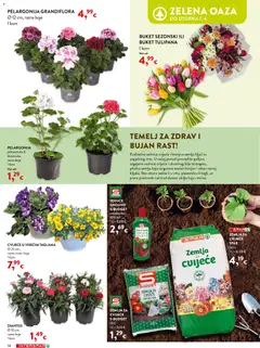 Katalog Interspar - Pregled kataloga iz trgovine Interspar, vrijedi od 04.03.2026 | Stranica: 14