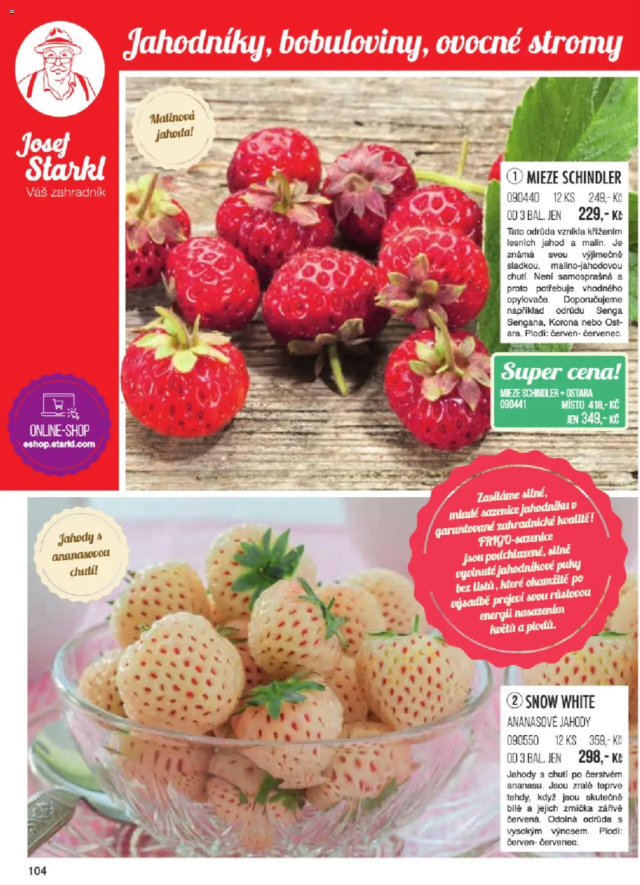 Starkl katalog jaro 2024 od 06.01.2025 | Strana: 104 | Produkty: Jahody