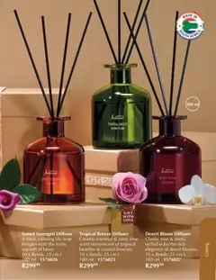 Justine specials catalogue – valid from 01.12.2025 | Page: 11 | Products: Diffuser, Lime