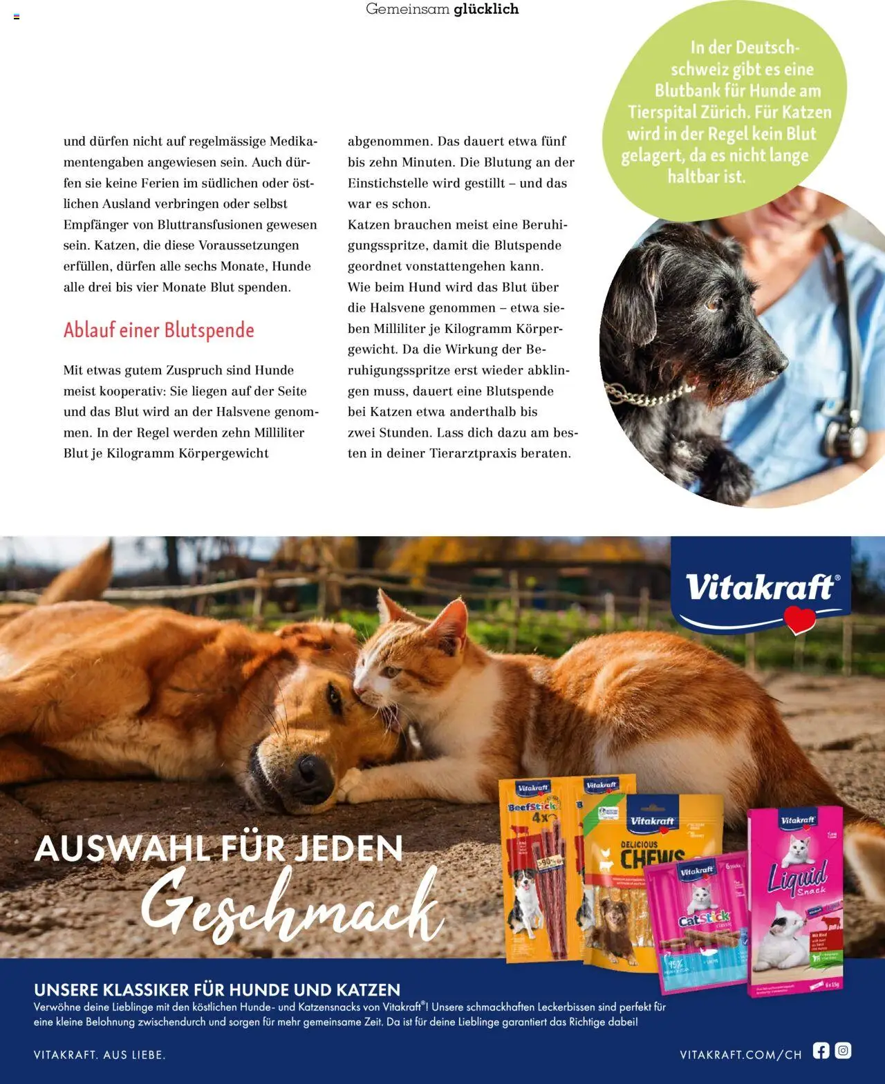 Fressnapf Magazin – gültig ab 01.09.2025 | Seite: 41