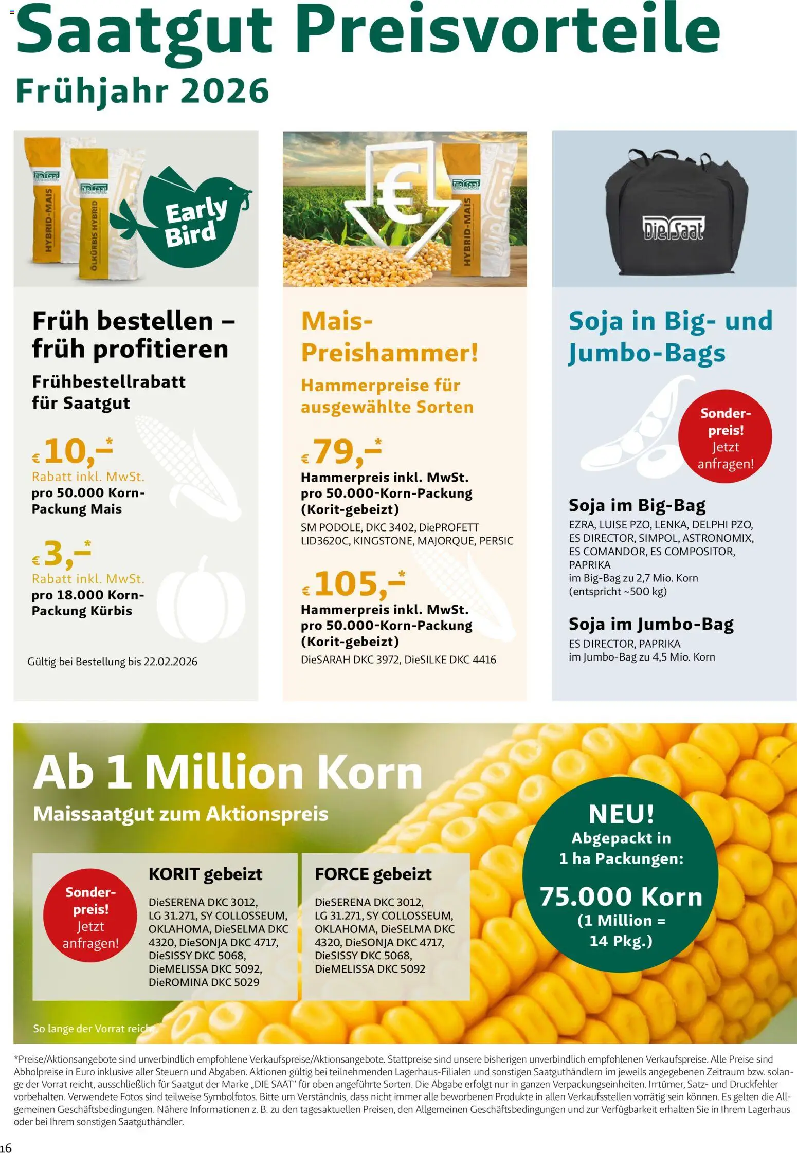 Lagerhaus - Frühjahr 2026 Östliches  Niederösterreich gültig ab 01.03.2026 | Seite: 16 | Produkte: Kürbis