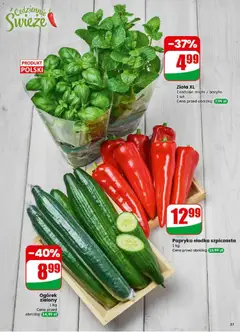 Pogląd oferty "Papryka słodka szpiczasta, 1 kg" - ważna od 11.03.2026 | Strona: 31