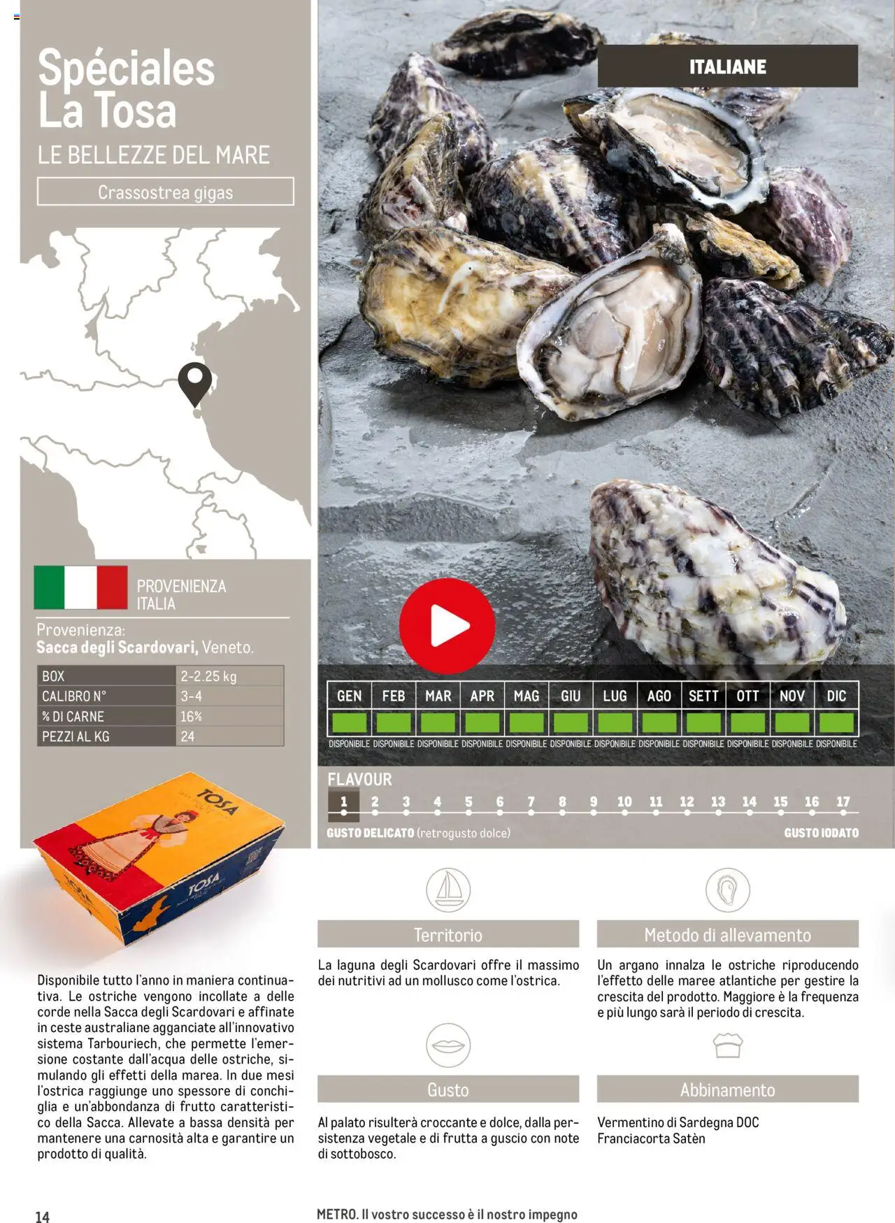 Volantino Metro del 17.06.2025 | Pagina: 14 | Prodotti: Frutta