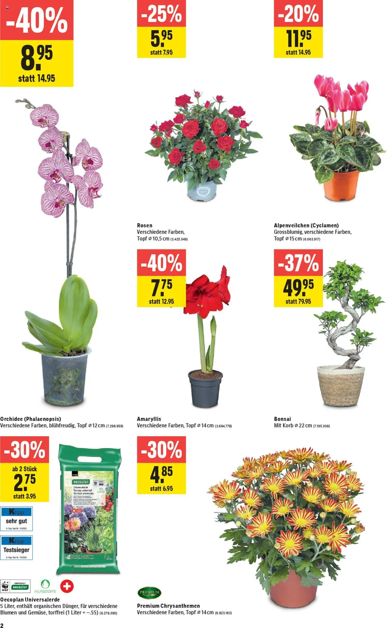 Jumbo Aktionen – gültig ab 09.10.2025 | Seite: 2 | Produkte: Korb