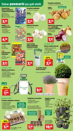 Thomas Philipps leidinys galioja nuo 17.02.2026 | Puslapis: 2 | Prekių: Puodelis, Vazonas