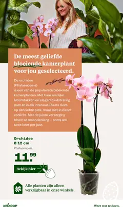 Welkoop folder - Voorbeeld van een folder van Welkoop, geldig van 30.03.2026 | Pagina: 26 | Producten: Video, Camera