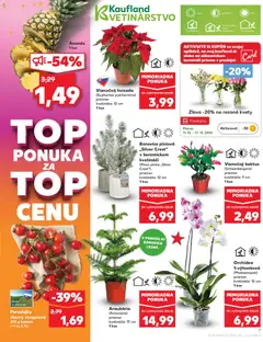 Kaufland leták platný od 11.12.2025 | Strana: 7 | Produkty: Paradajky, Ananás, Kvety, Orchidea