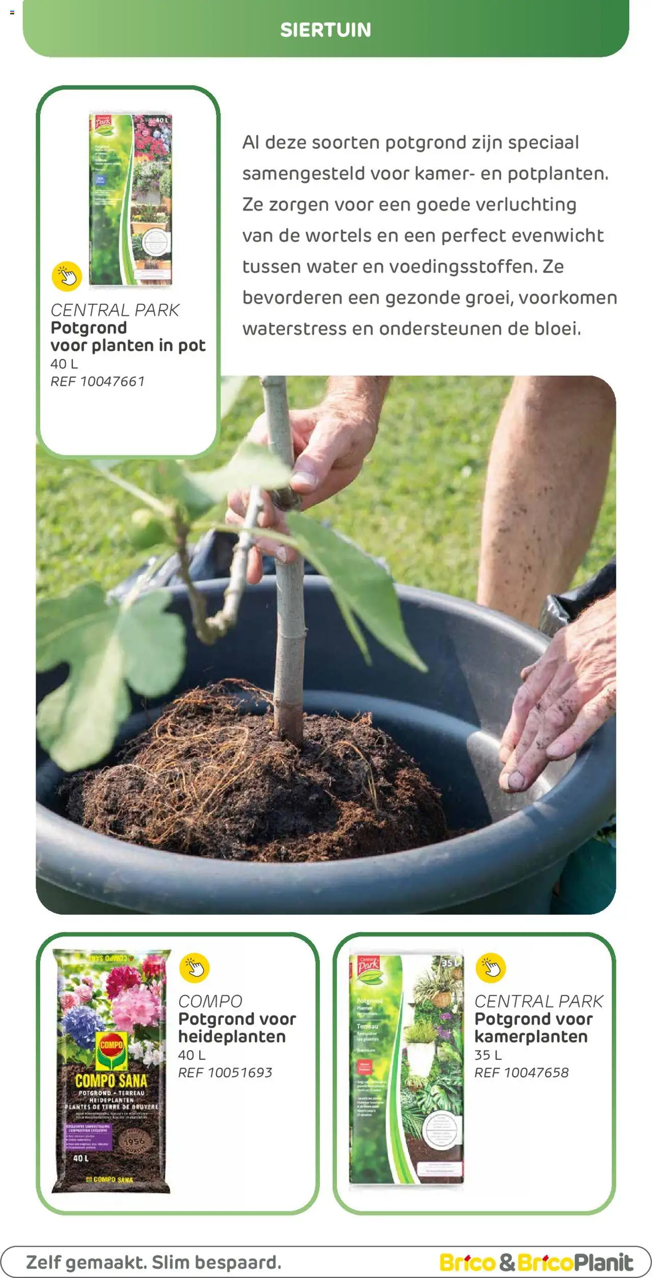  | Pagina: 204 | Producten: Kamerplanten, Pot