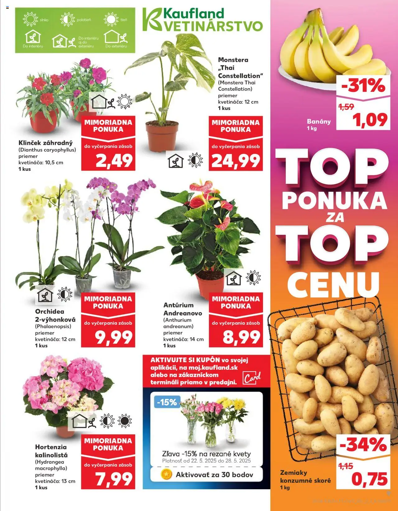Nové Kaufland akcie – leták je platný od 22.05.2025 | Strana: 9 | Produkty: Banány, Zemiaky, Kvety, Orchidea