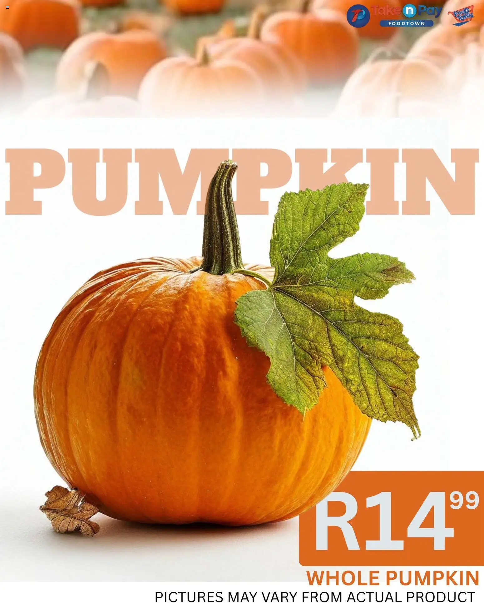 New Take n Pay catalogue – valid from 13.03.2026 | Page: 10