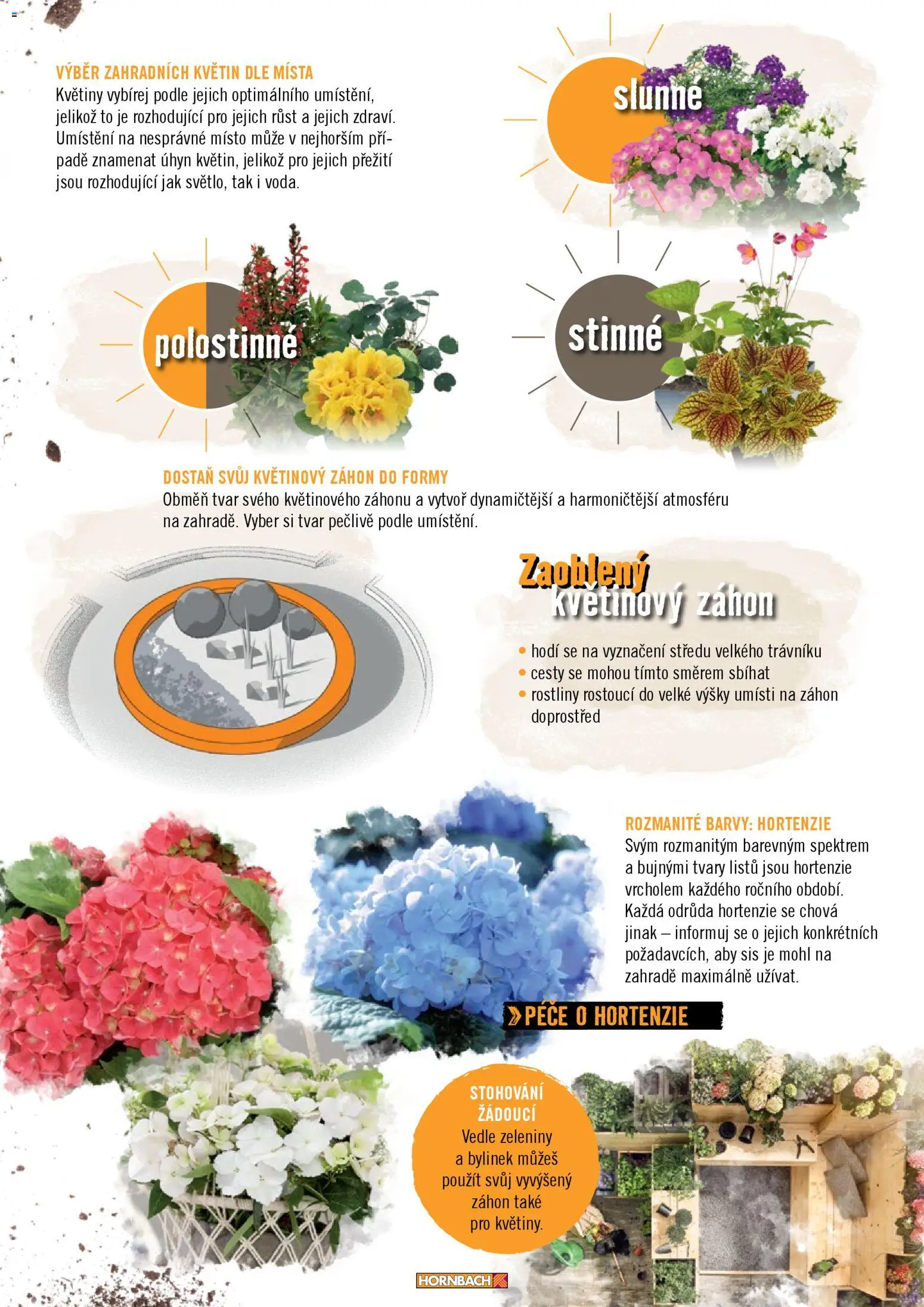 HORNBACH leták - Zahrada od 01.01.2026 | Strana: 25 | Produkty: Rostliny, Květiny, Vyvýšený záhon, Barvy