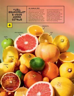  | Pagina: 10 | Producten: Limoen, Grapefruit, Citroen, Kan