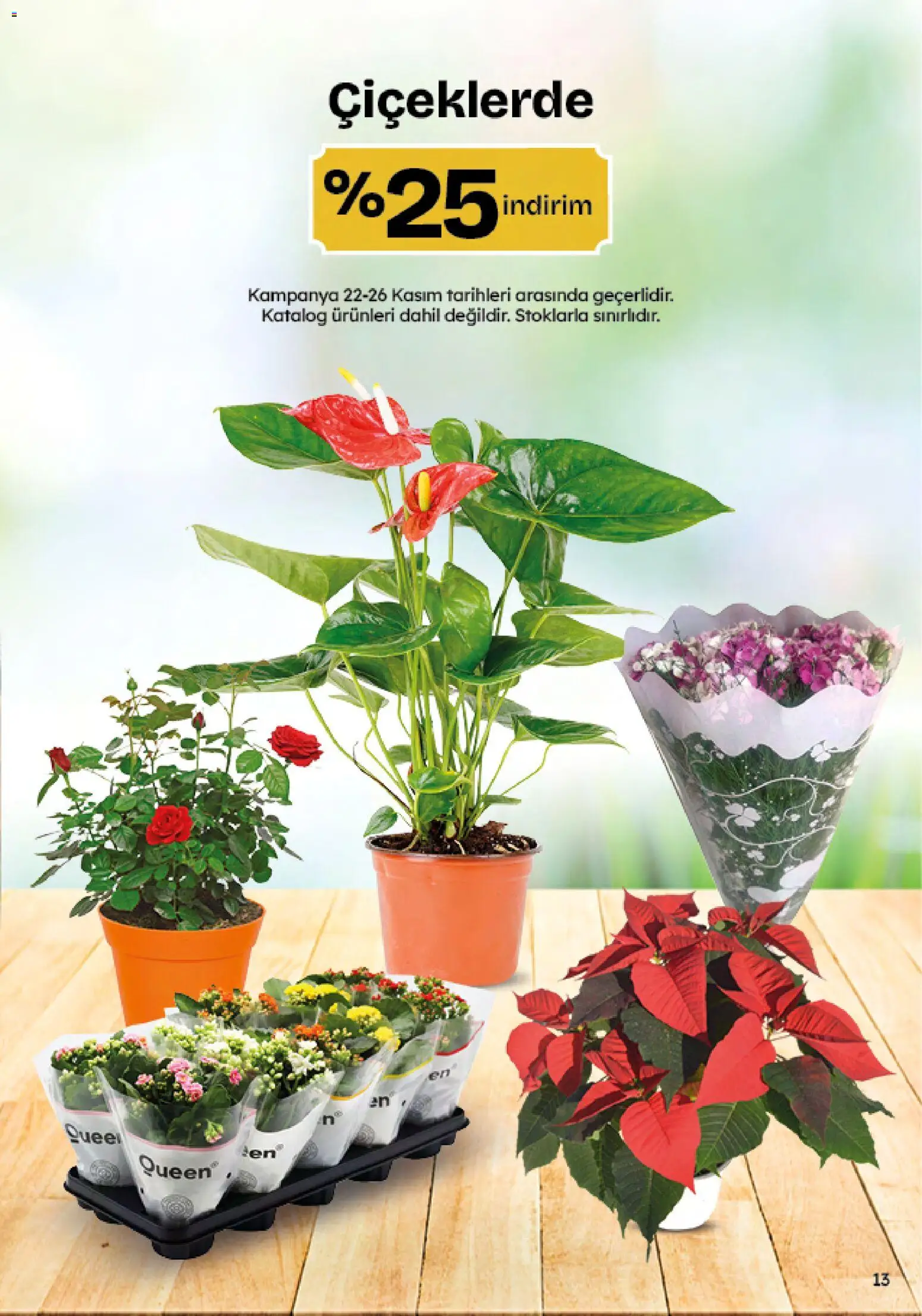 Migros Black Friday - 20.11.2025 tarihinden itibaren geçerlidir | Sayfa: 13