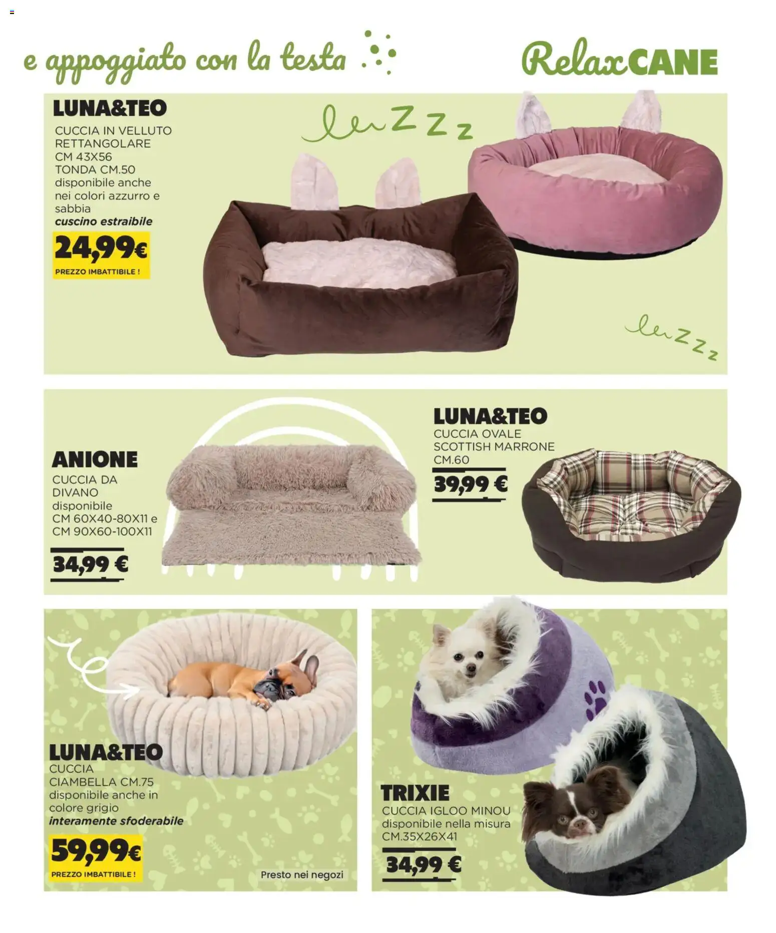 Volantino Arcaplanet del 01.11.2025 | Pagina: 5 | Prodotti: Cuscino, Divano