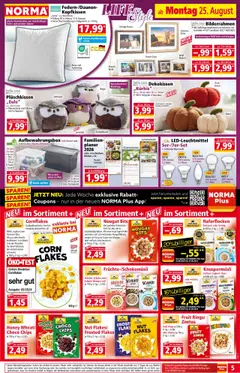 Norma Prospekt 	 - gültig ab dem 25.08.2025 | Seite: 5 | Produkte: Musli, Joghurt, Kürbis, Bilderrahmen