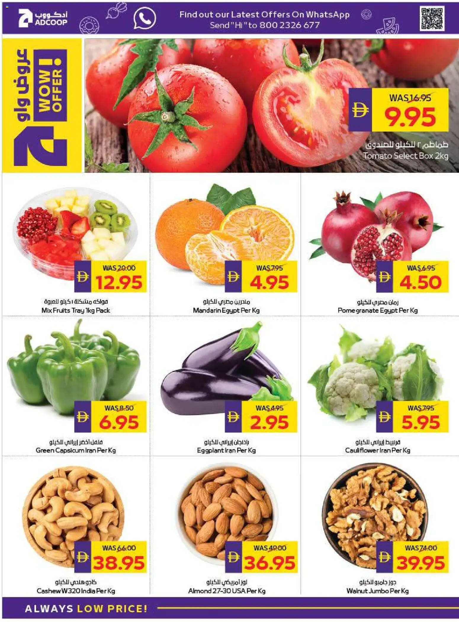 {H1} | Page: 2 | Products: Painemittari, Blazer