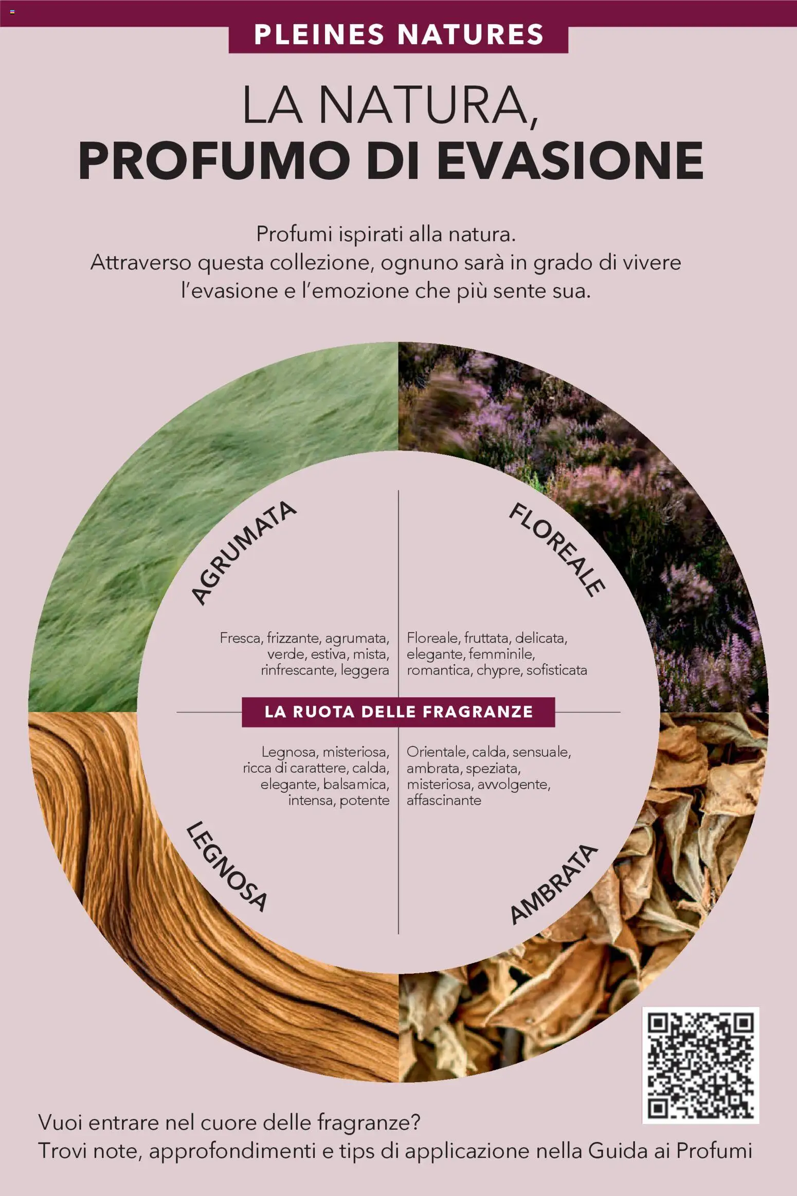 Volantino Yves Rocher del 30.01.2026 | Pagina: 4 | Prodotti: Profumo