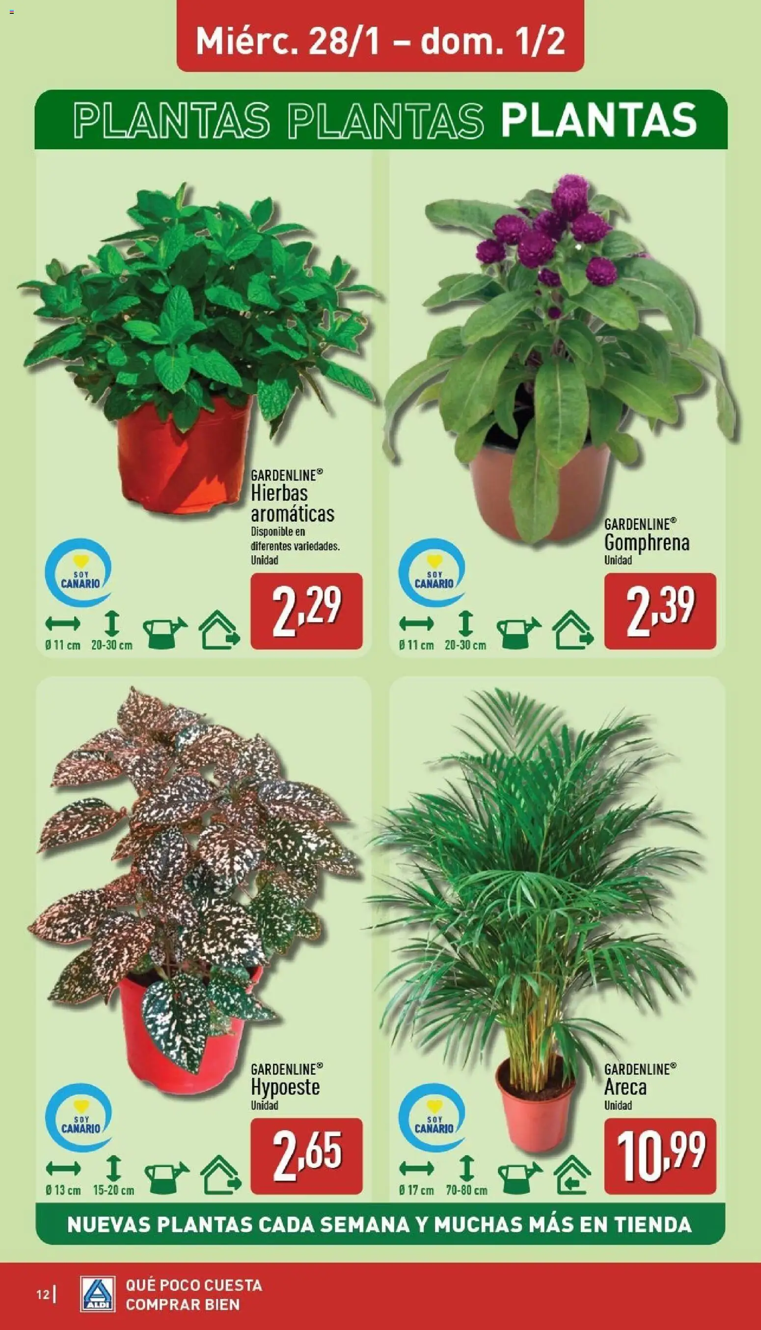 Aldi folleto Canarias │ válido desde el 26.01.2026 | Página: 12