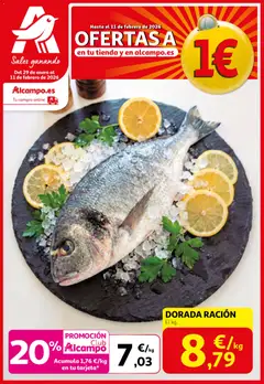 Vista previa Alcampo - SST Nacional  válido desde el 29.01.2026