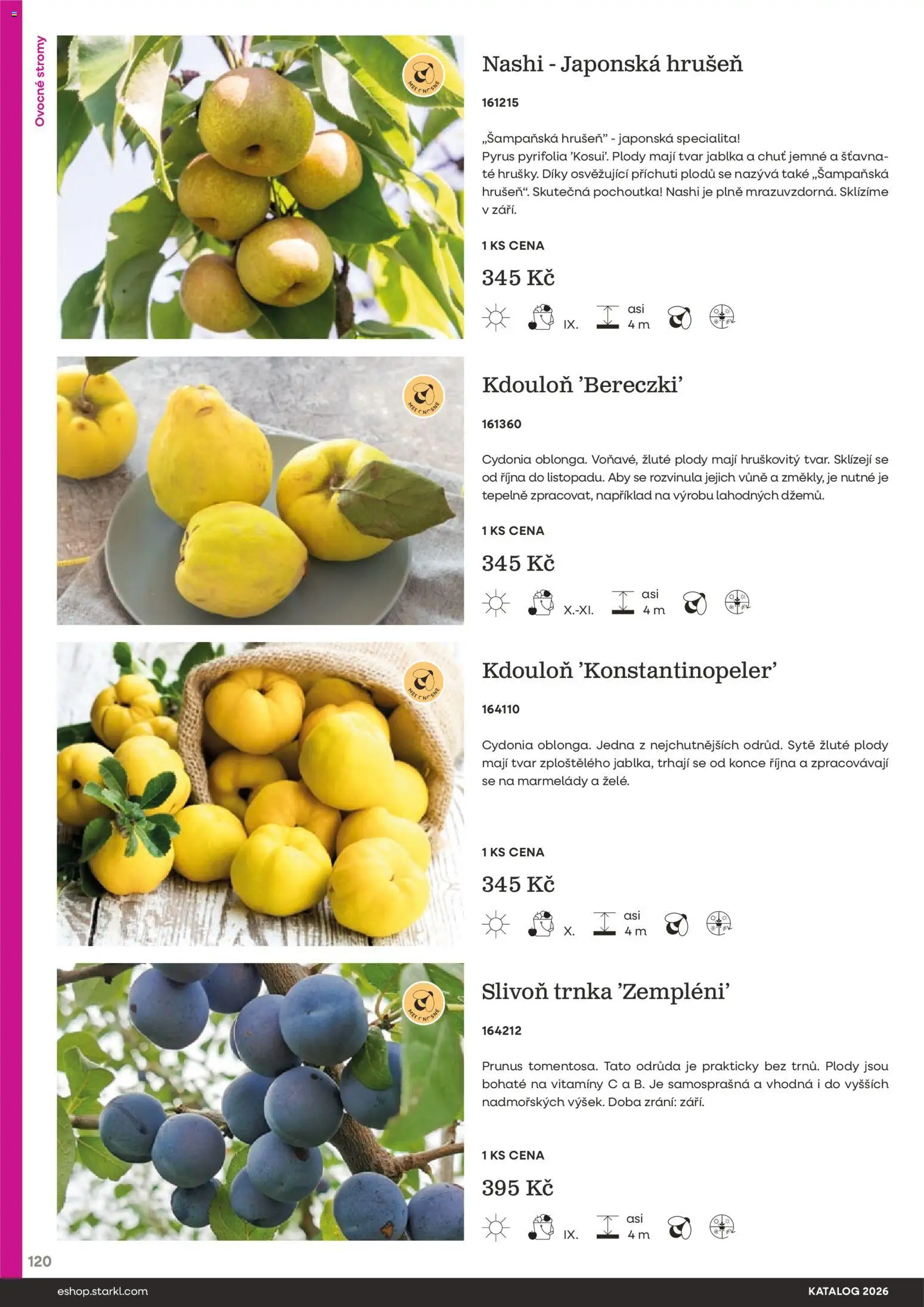 Starkl katalog od 25.02.2026 | Strana: 120 | Produkty: Jablka, Vitamíny