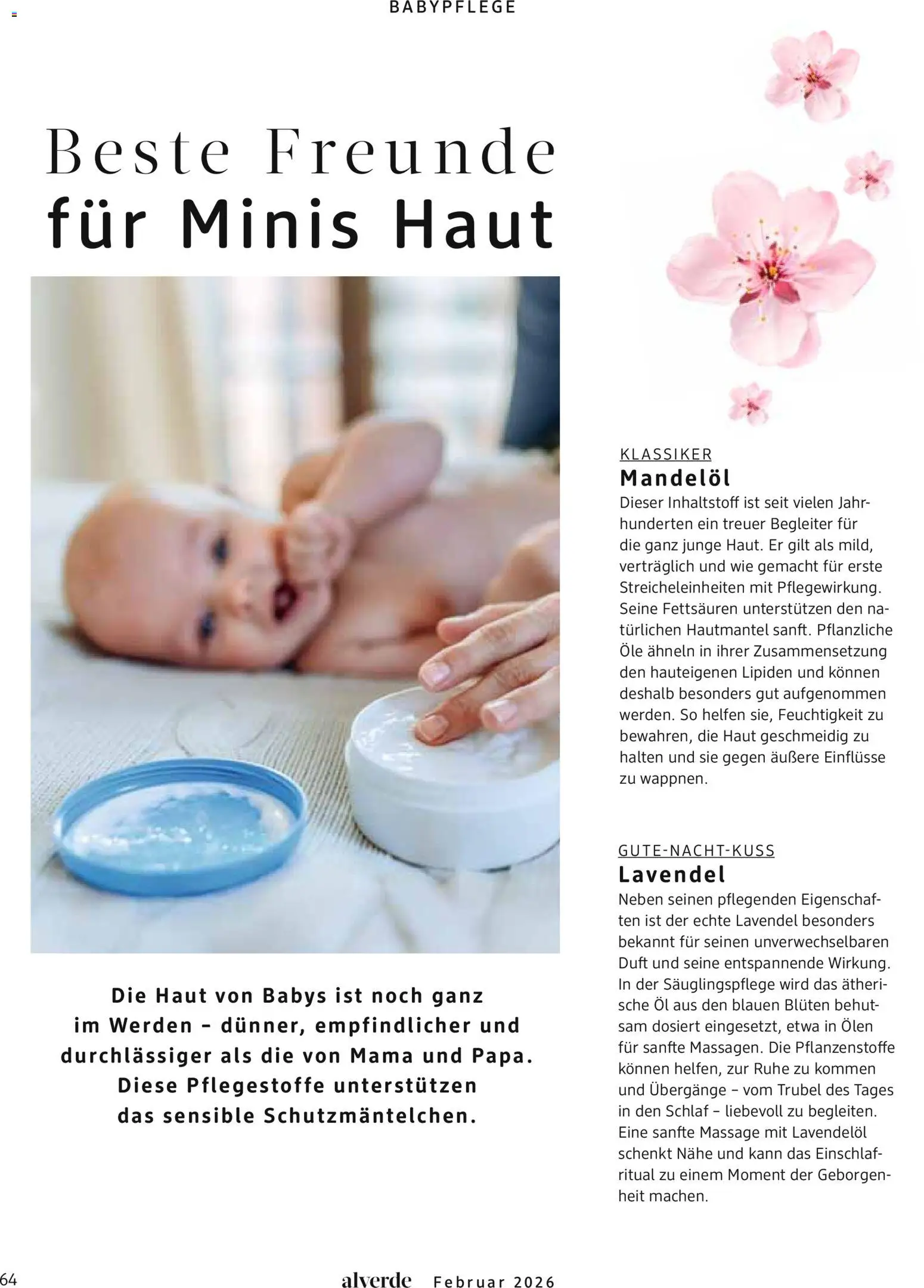 dm drogerie Prospekt 	 – gültig ab 01.02.2026 | Seite: 64 | Produkte: Öl, Duft, Lavendel