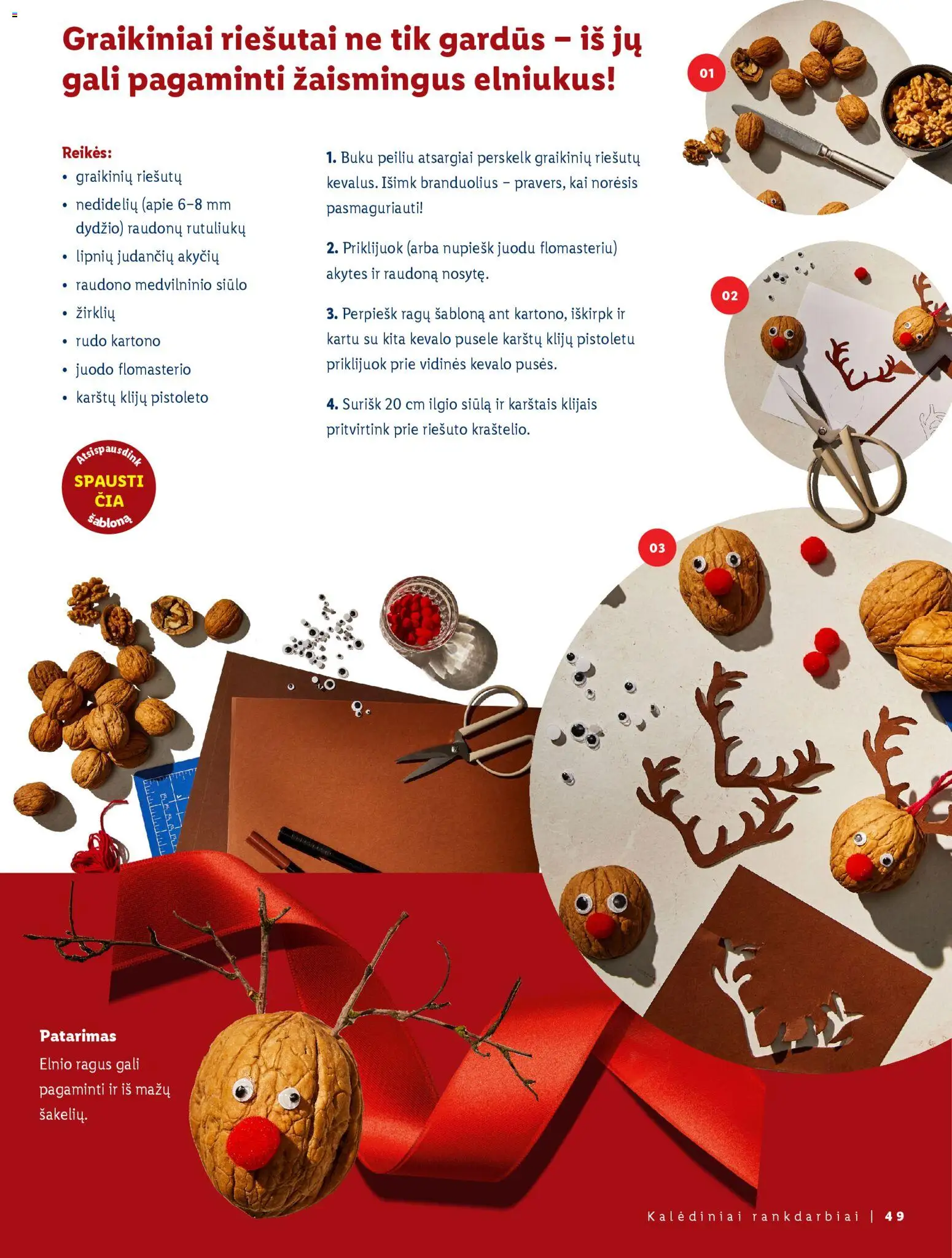 LIDL akcijos nuo 23.11.2025 | Puslapis: 49