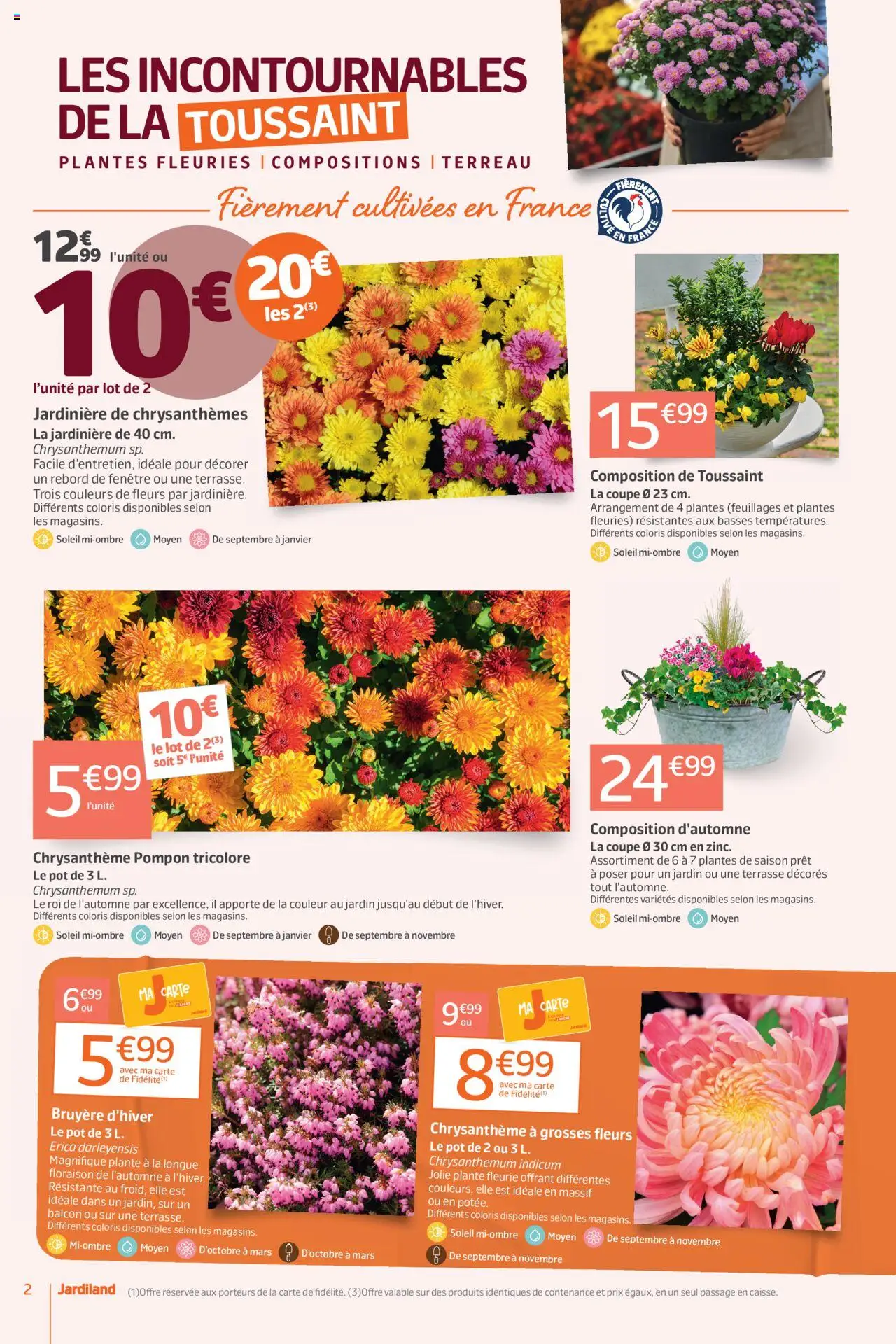 {H1} | Page: 2 | Produits: Plantes, Jardinière, Chrysanthème, Terreau