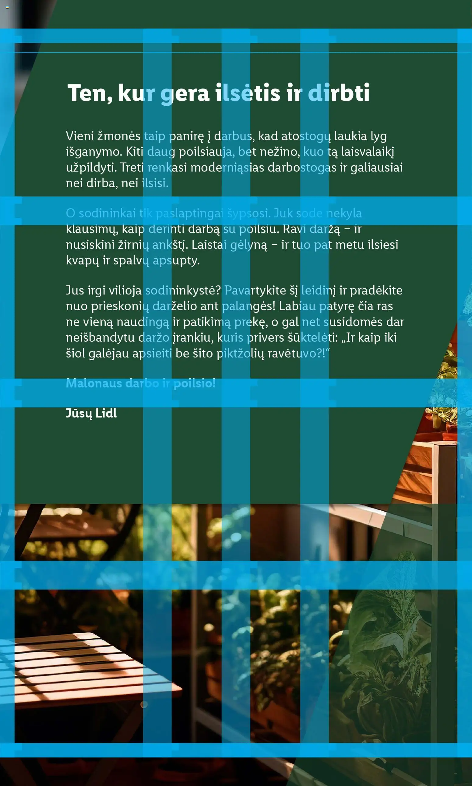 LIDL akcijos nuo 16.02.2026 | Puslapis: 2