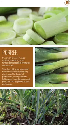 Rema 1000 - Meget mere sæson - november gyldig fra 01.11.2025 | Side: 5 | Produkter: Smør, Porrer, Søm