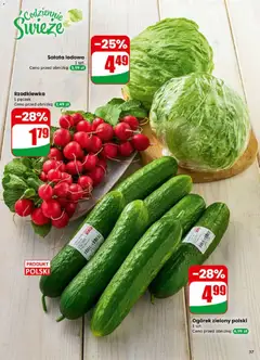 Pogląd oferty "Sałata lodowa, 1 szt." - ważna od 21.01.2026 | Strona: 37