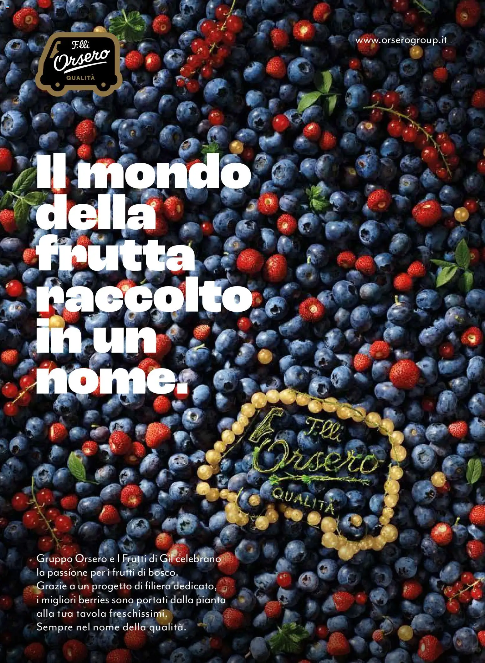 Volantino COOP del 01.12.2025 | Pagina: 28 | Prodotti: Frutta