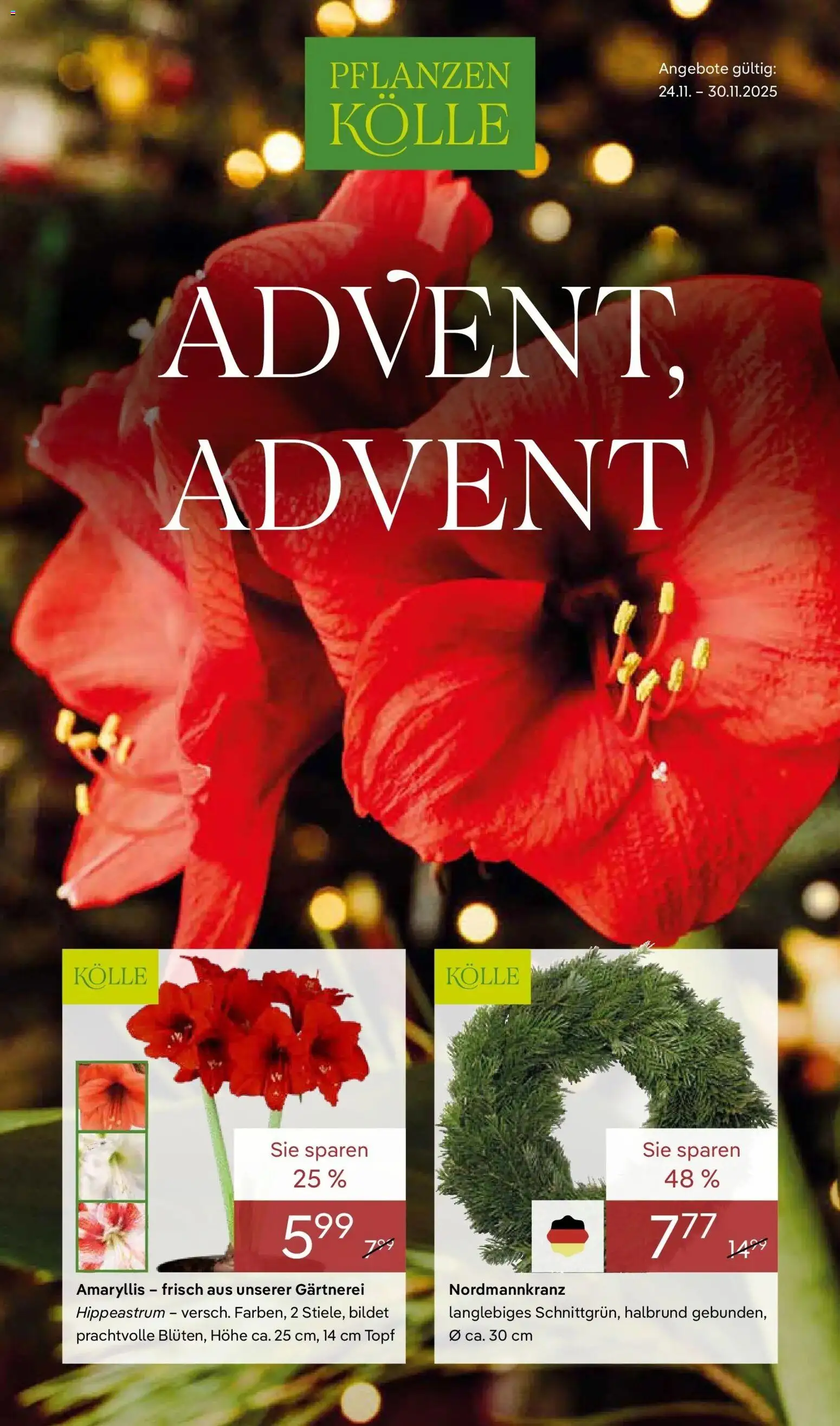 Pflanzen-Kölle - Pflanzen-Kölle: Advent, Advent – gültig ab 23.11.2025 | Seite: 1