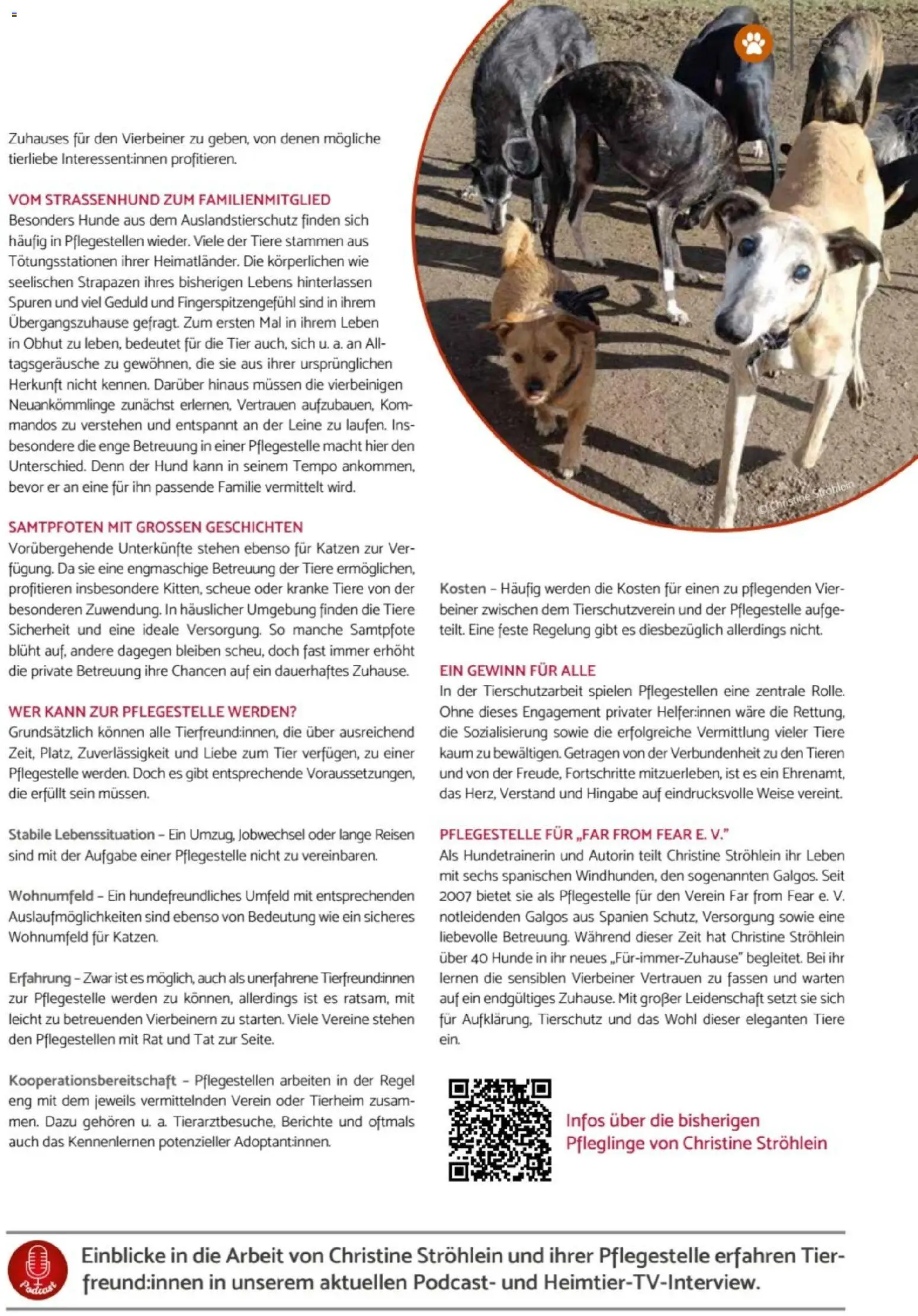 zookauf - Heimtier Journal – gültig ab 01.12.2025 | Seite: 53 | Produkte: Tempo