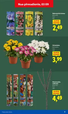 LIDL leidinys galioja nuo 09.02.2026 | Puslapis: 9 | Prekių: Baterija