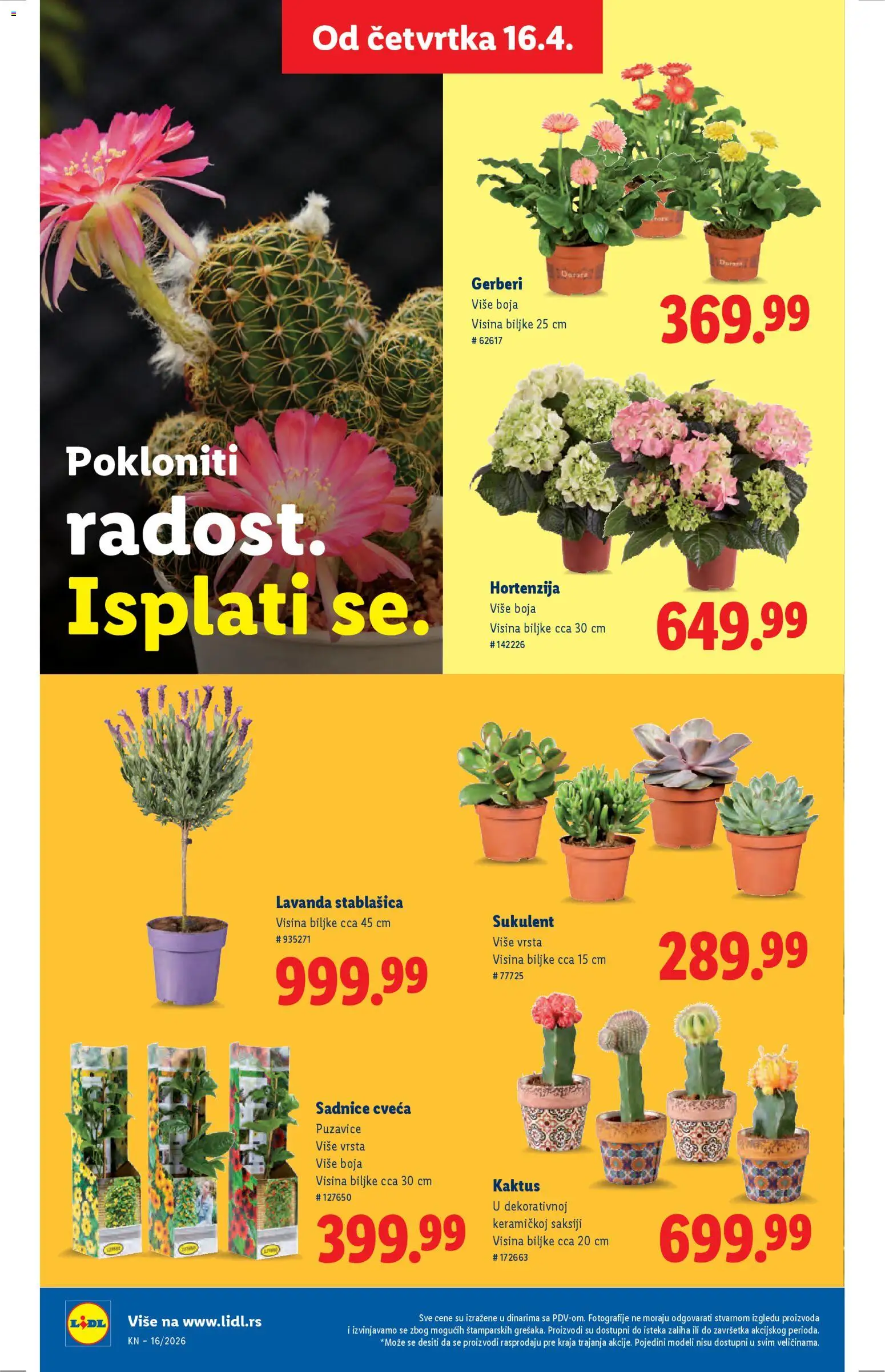 Lidl katalog - važi od 16.04.2026 | Strana: 62