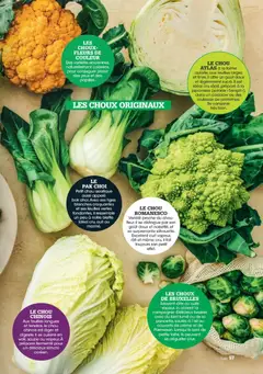 Grand Frais - Prévisualisation de Grand Frais catalogue valide à partir de 01.12.2025 | Page: 57 | Produits: Salade, Soupe, Crème