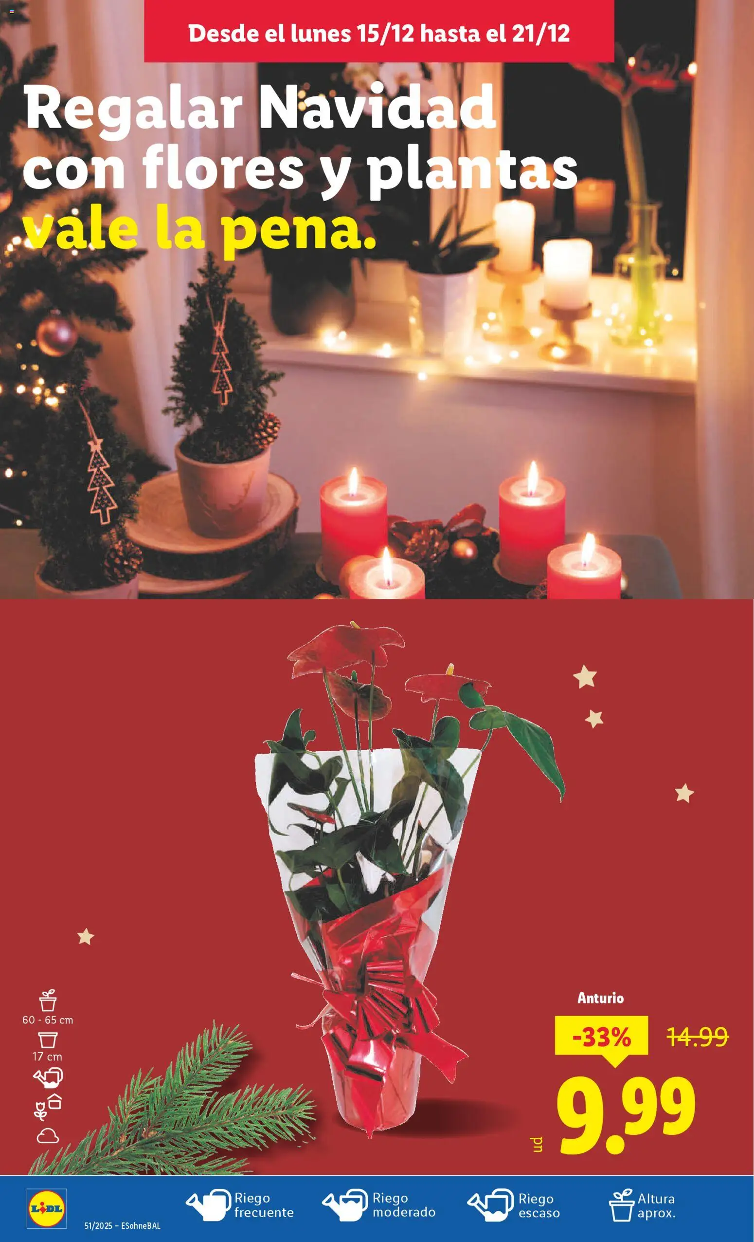 Lidl folleto │ válido desde el 15.12.2025 | Página: 46