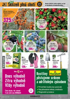 Náhled letáku HORNBACH leták - Rostliny od 01.04.2026 | Strana: 3