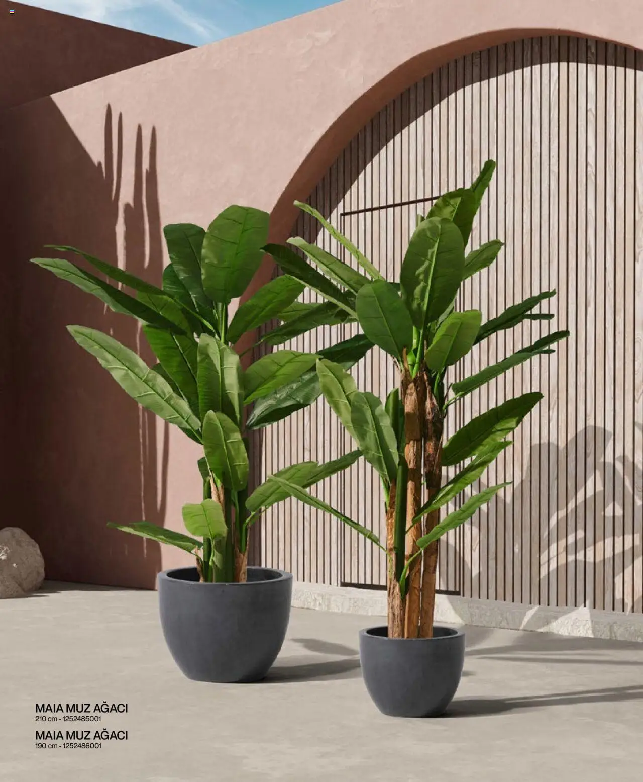 Mudo Katalog - BAHÇE 2025 - 04.06.2025 tarihinden itibaren geçerlidir | Sayfa: 162 | Ürünler: Muz