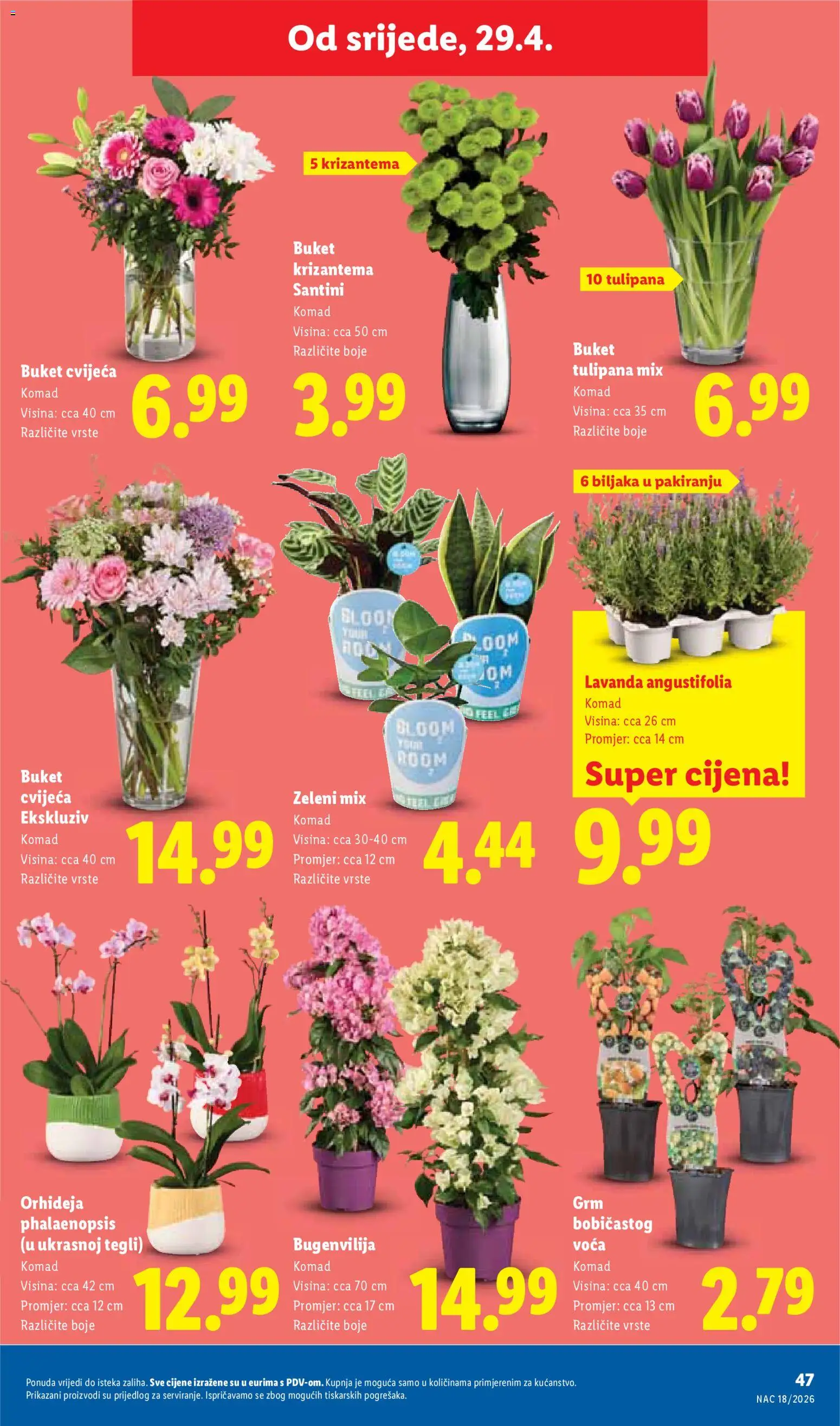 Lidl katalog | vrijedi od 27.04.2026 | Stranica: 47 | Proizvodi: Orhideja