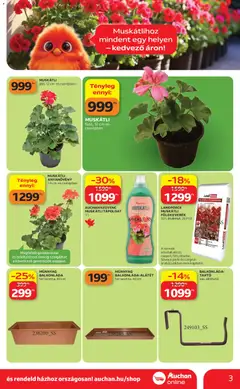 Auchan Kertészet és Szabadidő - amely érvényes a következő dátumtól: 16.04.2026 | Oldal: 3