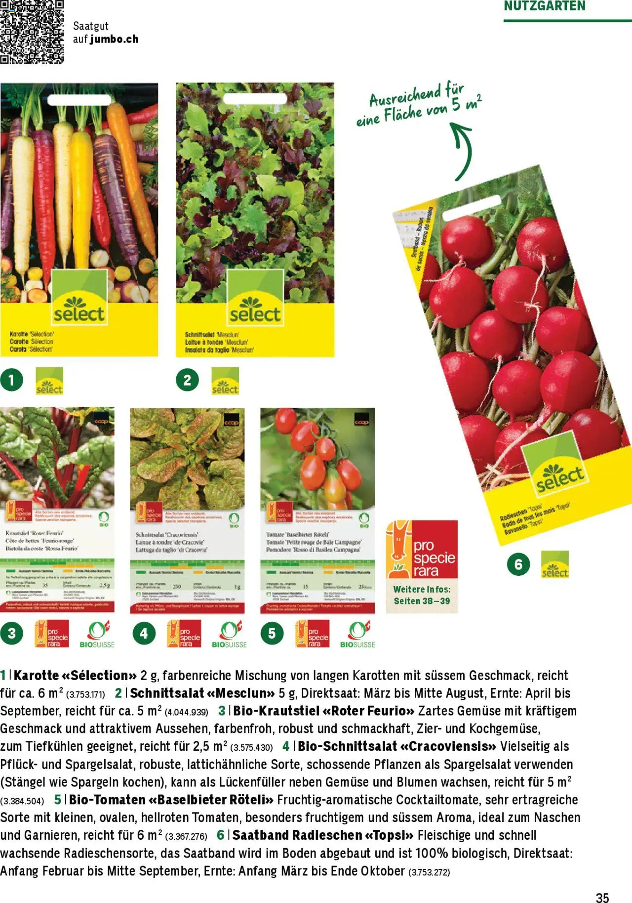 Jumbo Aktionen Dein Garten 2025 ab 21.02.2025 | Seite: 35 | Produkte: Rouge, Karotte, Gemüse