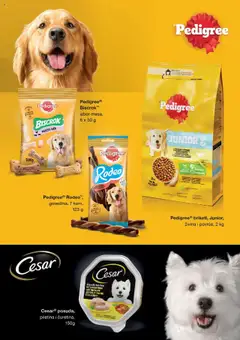 Idea katalog neprehrane - pregled Idea kataloga - važi od 02.10.2025 | Strana: 15 | Proizvode: Pedigree, Piletina